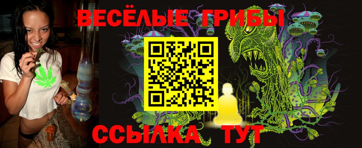 Псилоцибиновые грибы Psilocybine cubensis  Вход с VPN  Псилоцибиновые грибы Cubensis  Холмск 